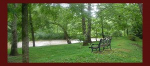 Relax on Roan Creek